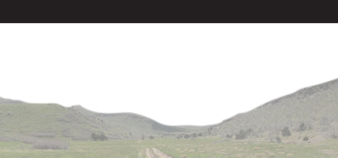 INTERMOUNTAIN PUMPED STORAGE